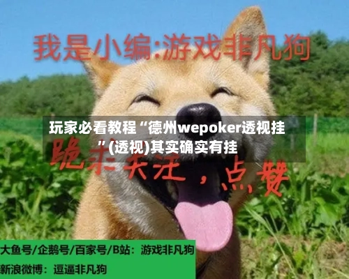 玩家必看教程“德州wepoker透视挂”(透视)其实确实有挂-第3张图片