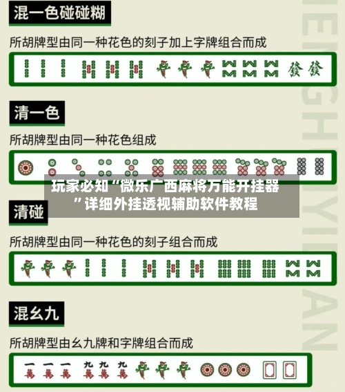 玩家必知“微乐广西麻将万能开挂器”详细外挂透视辅助软件教程-第2张图片