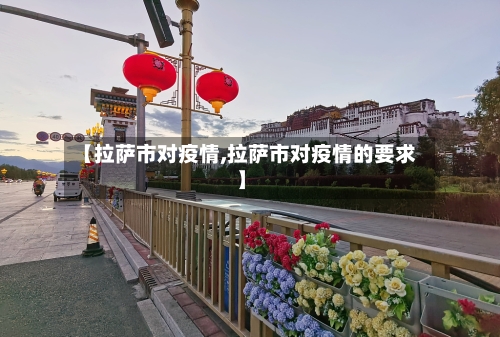 【拉萨市对疫情,拉萨市对疫情的要求】
