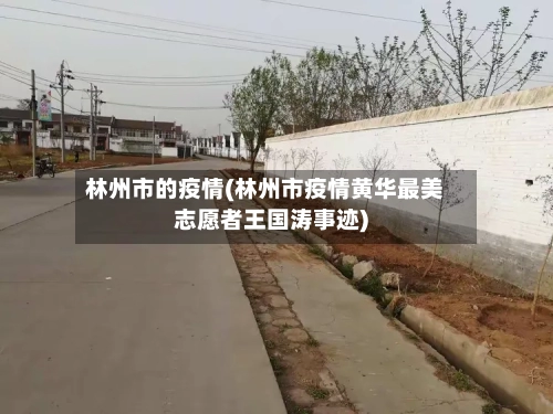 林州市的疫情(林州市疫情黄华最美志愿者王国涛事迹)