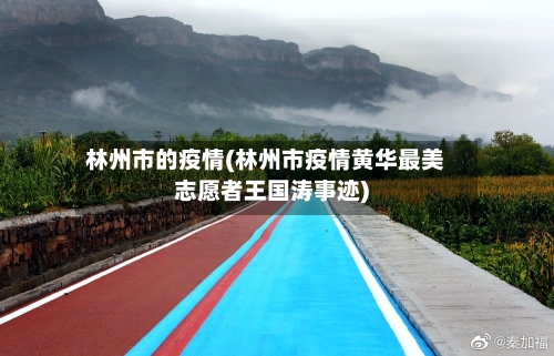 林州市的疫情(林州市疫情黄华最美志愿者王国涛事迹)-第2张图片