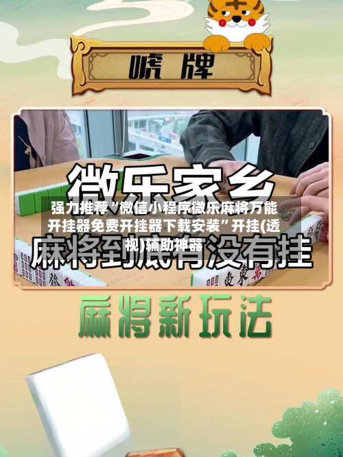 强力推荐“微信小程序微乐麻将万能开挂器免费开挂器下载安装	”开挂(透视)辅助神器-第2张图片