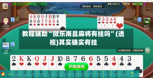 教程辅助“微乐南昌麻将有挂吗”(透视)其实确实有挂-第2张图片