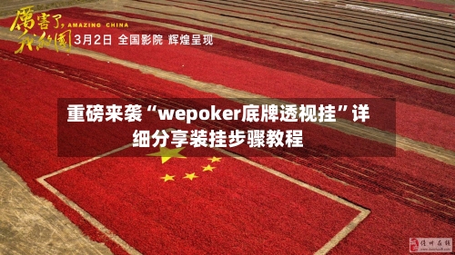 重磅来袭“wepoker底牌透视挂	”详细分享装挂步骤教程-第2张图片