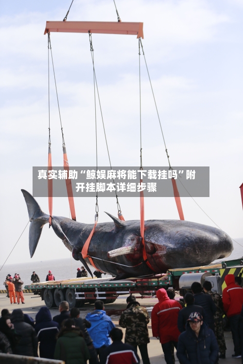 真实辅助“鲸娱麻将能下载挂吗	”附开挂脚本详细步骤-第2张图片