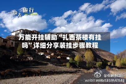 万能开挂辅助“扎西茶楼有挂吗”详细分享装挂步骤教程-第3张图片