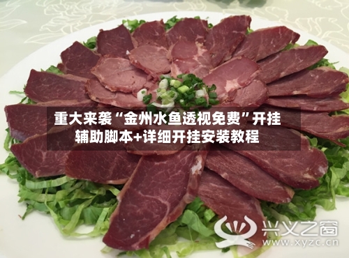 重大来袭“金州水鱼透视免费”开挂辅助脚本+详细开挂安装教程-第2张图片