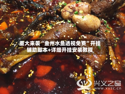 重大来袭“金州水鱼透视免费”开挂辅助脚本+详细开挂安装教程-第3张图片