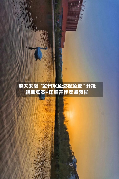 重大来袭“金州水鱼透视免费”开挂辅助脚本+详细开挂安装教程