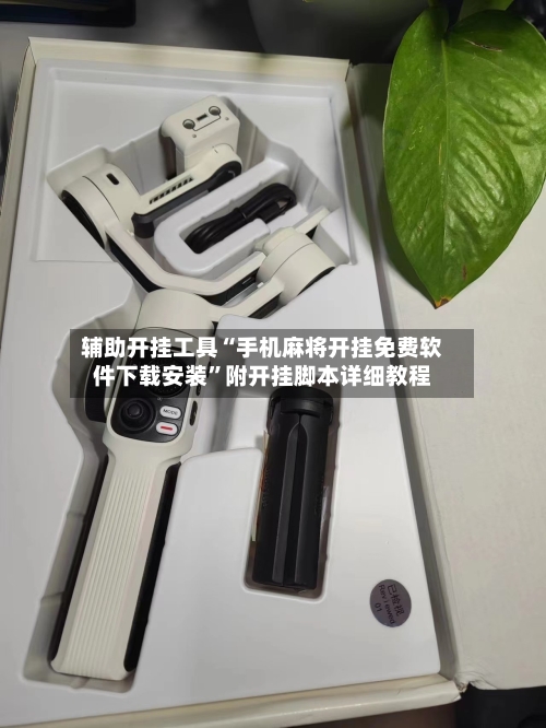 辅助开挂工具“手机麻将开挂免费软件下载安装”附开挂脚本详细教程-第3张图片