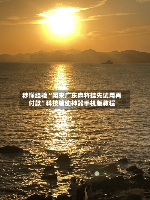 秒懂经验“闲来广东麻将挂先试用再付款”科技辅助神器手机版教程-第2张图片