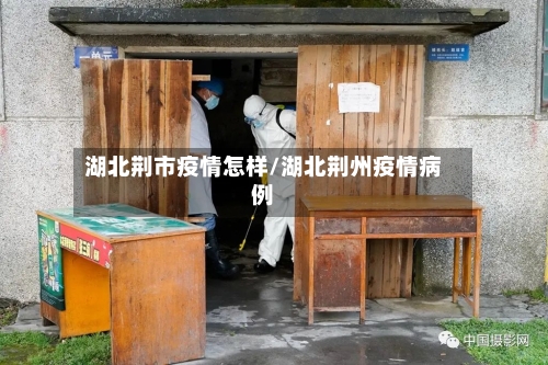 湖北荆市疫情怎样/湖北荆州疫情病例