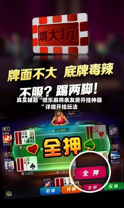 真实辅助“微乐麻将亲友房开挂神器”详细开挂玩法-第2张图片