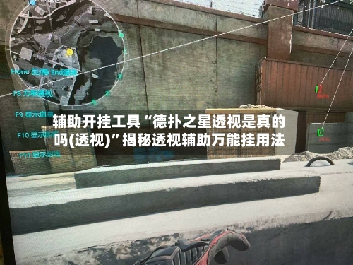 辅助开挂工具“德扑之星透视是真的吗(透视)”揭秘透视辅助万能挂用法-第3张图片