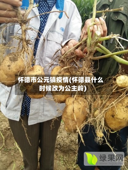 怀德市公元镇疫情(怀德县什么时候改为公主岭)