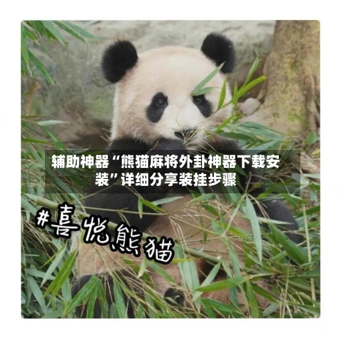 辅助神器“熊猫麻将外卦神器下载安装”详细分享装挂步骤-第3张图片