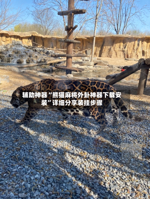 辅助神器“熊猫麻将外卦神器下载安装”详细分享装挂步骤-第2张图片