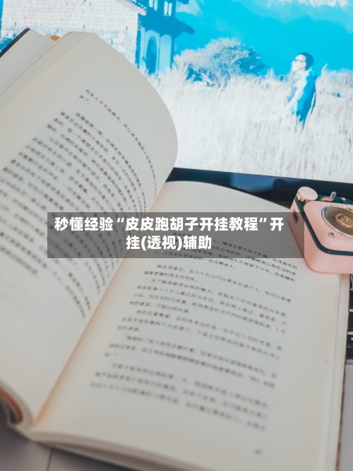 秒懂经验“皮皮跑胡子开挂教程”开挂(透视)辅助-第2张图片