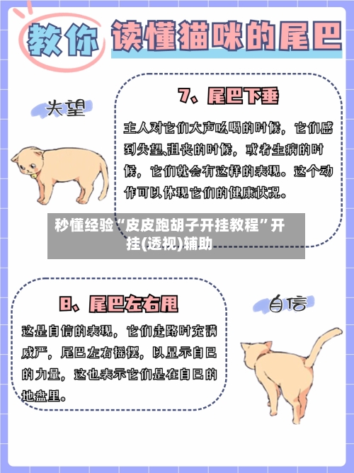 秒懂经验“皮皮跑胡子开挂教程”开挂(透视)辅助-第3张图片