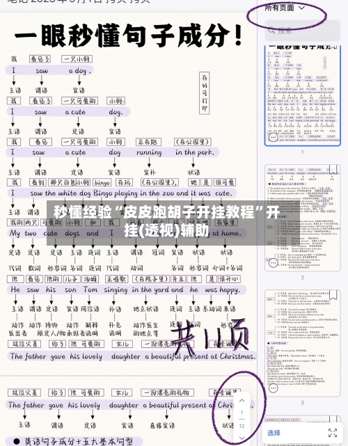 秒懂经验“皮皮跑胡子开挂教程”开挂(透视)辅助