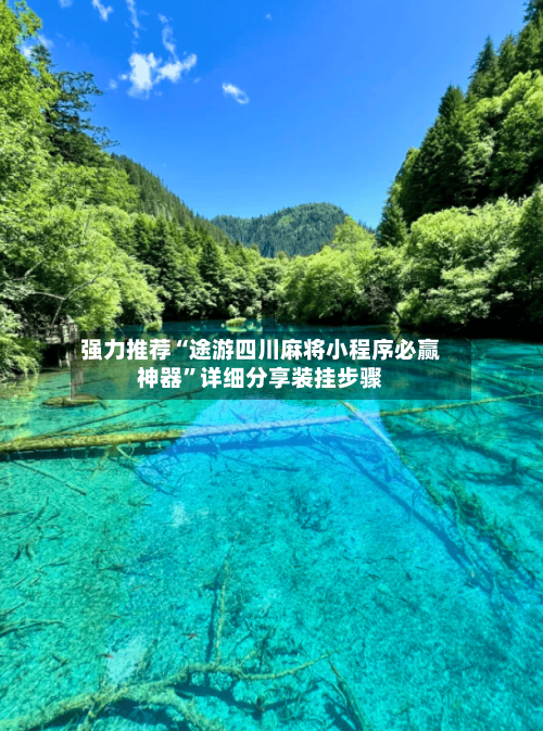 强力推荐“途游四川麻将小程序必赢神器”详细分享装挂步骤-第2张图片