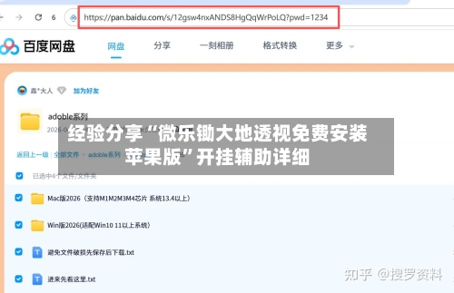 经验分享“微乐锄大地透视免费安装苹果版”开挂辅助详细-第2张图片