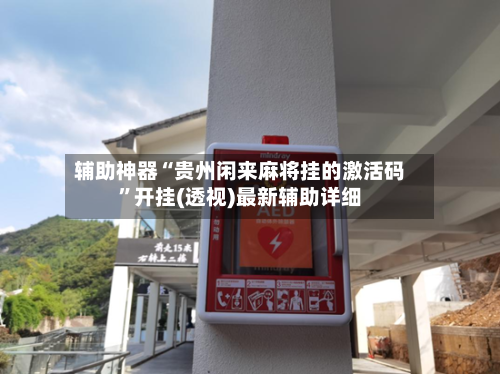 辅助神器“贵州闲来麻将挂的激活码”开挂(透视)最新辅助详细-第2张图片