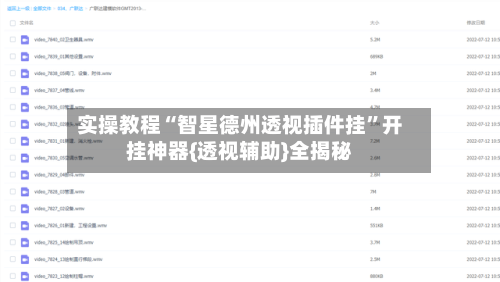 实操教程“智星德州透视插件挂”开挂神器{透视辅助}全揭秘-第2张图片