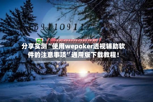 分享实测“使用wepoker透视辅助软件的注意事项”通用版下载教程！-第3张图片