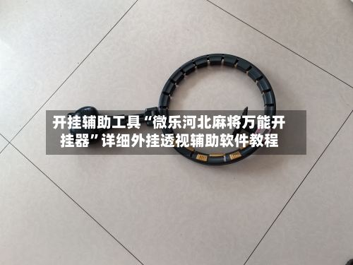 开挂辅助工具“微乐河北麻将万能开挂器”详细外挂透视辅助软件教程-第2张图片