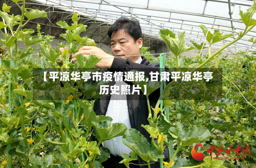 【平凉华亭市疫情通报,甘肃平凉华亭历史照片】-第3张图片