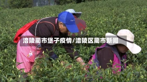 涪陵蔺市堡子疫情/涪陵区蔺市新闻