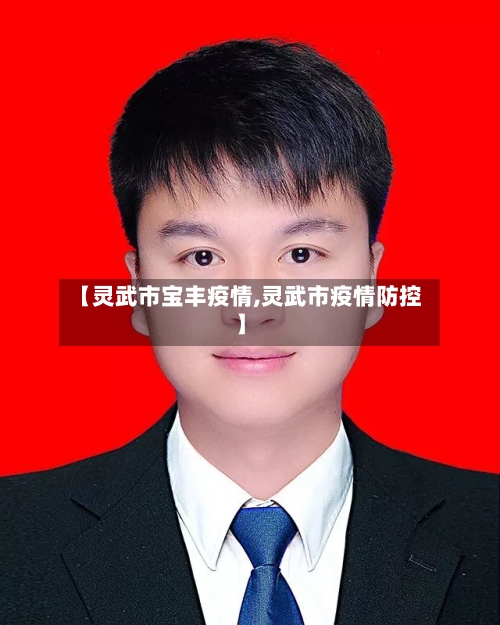 【灵武市宝丰疫情,灵武市疫情防控】-第2张图片