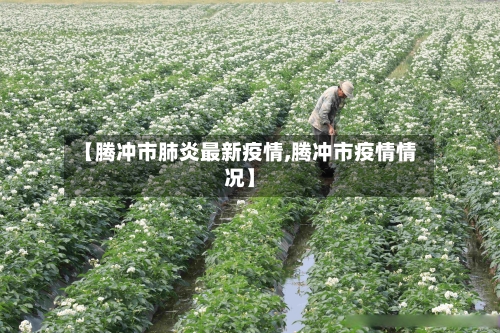 【腾冲市肺炎最新疫情,腾冲市疫情情况】-第2张图片