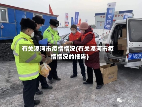 有关漠河市疫情情况(有关漠河市疫情情况的报告)