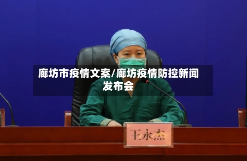 廊坊市疫情文案/廊坊疫情防控新闻发布会