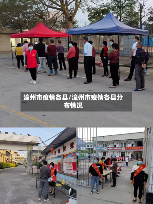 漳州市疫情各县/漳州市疫情各县分布情况-第3张图片