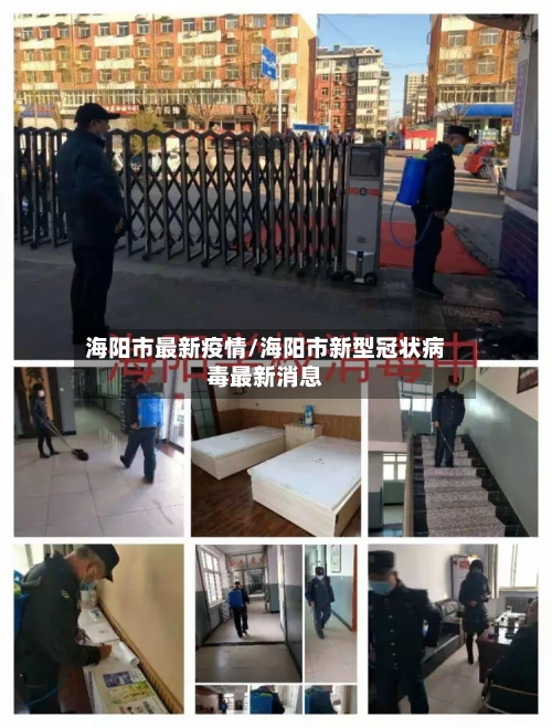 海阳市最新疫情/海阳市新型冠状病毒最新消息-第2张图片