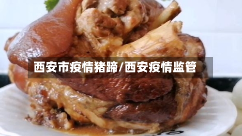 西安市疫情猪蹄/西安疫情监管