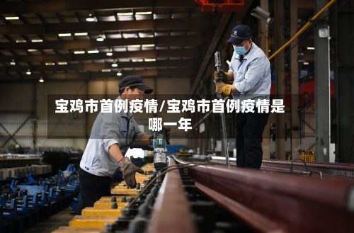 宝鸡市首例疫情/宝鸡市首例疫情是哪一年-第2张图片