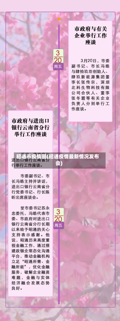 昭通市疫情图(昭通疫情最新情况发布会)-第3张图片