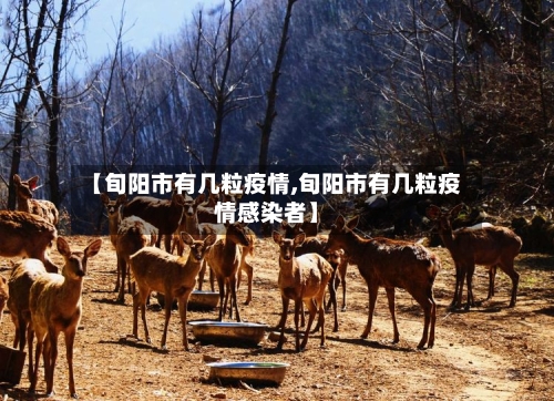 【旬阳市有几粒疫情,旬阳市有几粒疫情感染者】-第3张图片