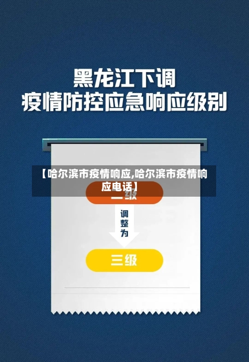 【哈尔滨市疫情响应,哈尔滨市疫情响应电话】