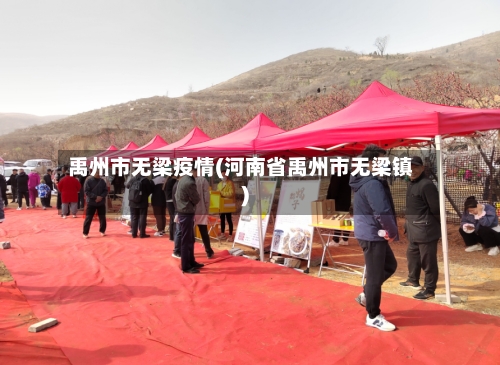 禹州市无梁疫情(河南省禹州市无梁镇)-第3张图片