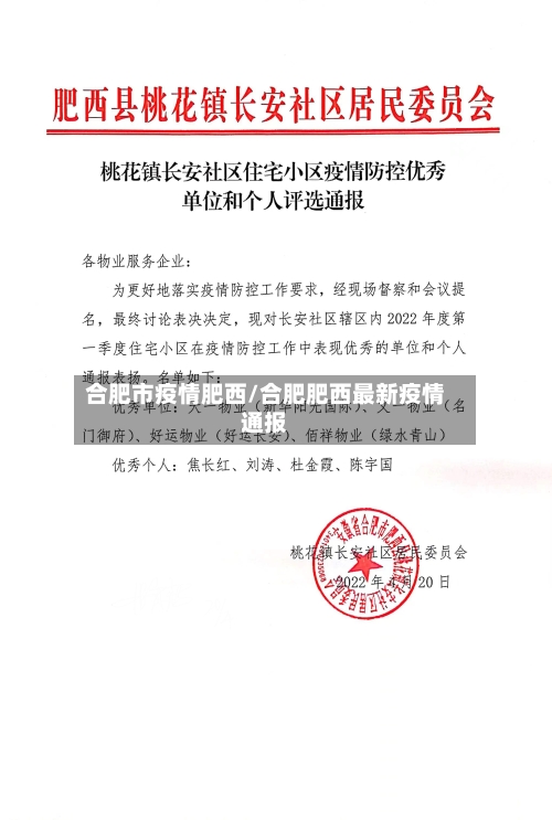 合肥市疫情肥西/合肥肥西最新疫情通报-第3张图片