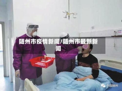 随州市疫情新闻/随州市最新新闻-第2张图片