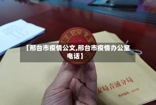 【邢台市疫情公文,邢台市疫情办公室电话】-第3张图片