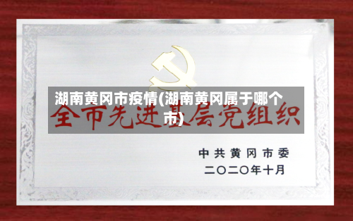 湖南黄冈市疫情(湖南黄冈属于哪个市)-第3张图片