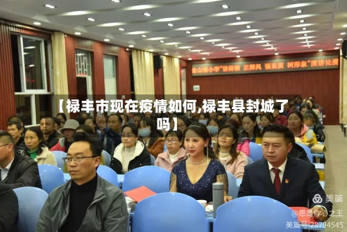 【禄丰市现在疫情如何,禄丰县封城了吗】-第3张图片