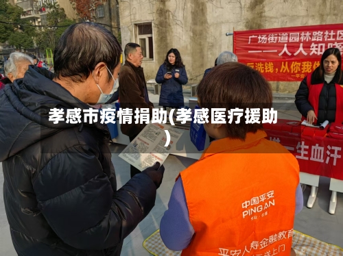 孝感市疫情捐助(孝感医疗援助)-第3张图片